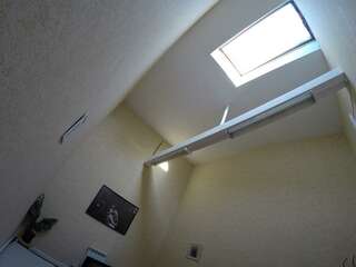 Хостел Литвич Нижний Новгород Номер стандарт с 2 односпальными кроватями (мансарда)-10