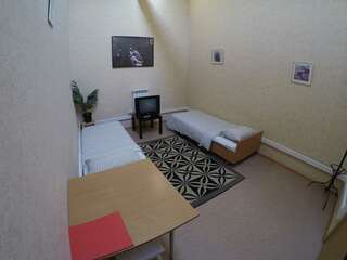 Хостел Литвич Нижний Новгород Номер стандарт с 2 односпальными кроватями (мансарда)-5