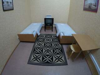 Хостел Литвич Нижний Новгород Номер стандарт с 2 односпальными кроватями (мансарда)-4